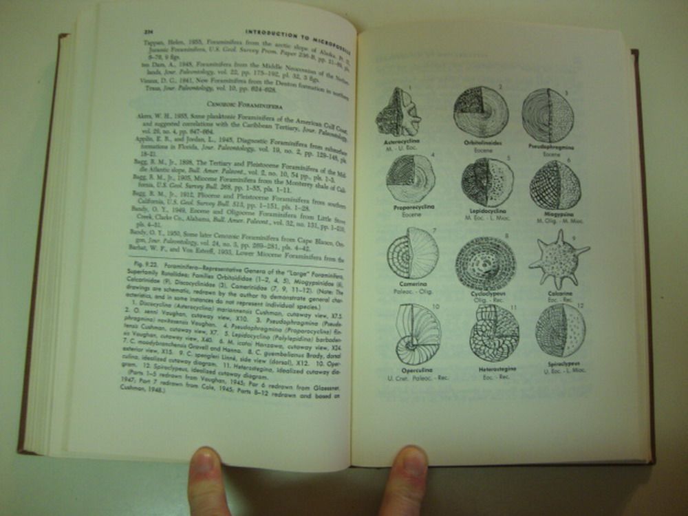  technical work “Introduction to Microfossils” by Daniel J