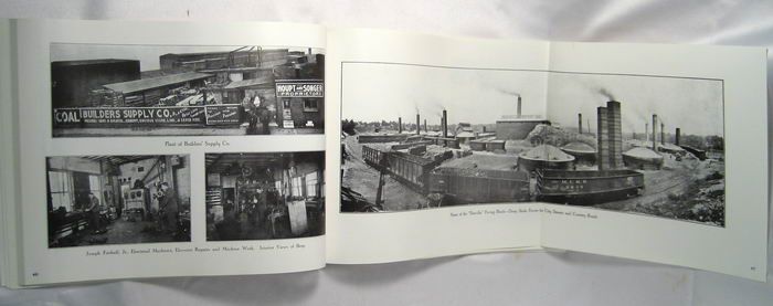 Danville Illinois IL Vermilion County Souvenir Photo Book 1916 Repro