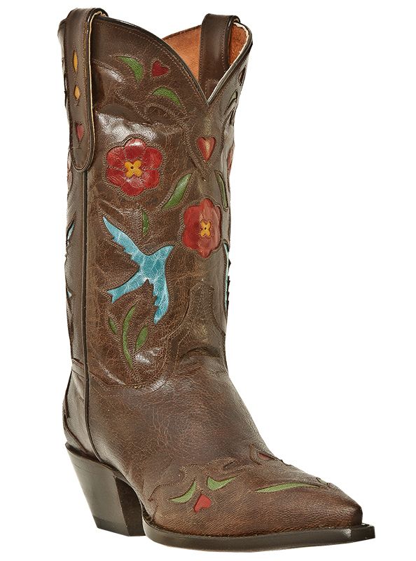 Womens Cowboy Boots Dan Post Blue Bird Medium B M Snip Toe Brown