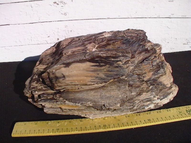 Petrified Wood Landscape Rock Decorative 555 40 Lbs