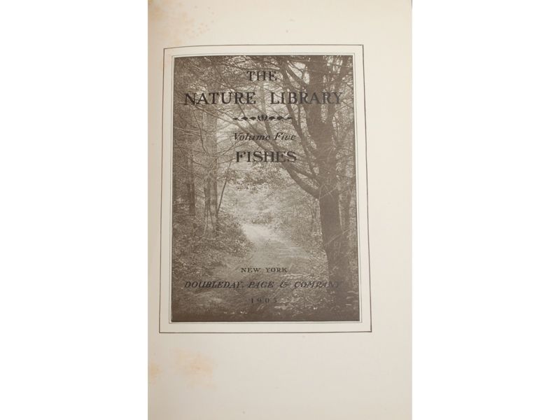 jordan david starr and barton warren evermann 1905 the nature