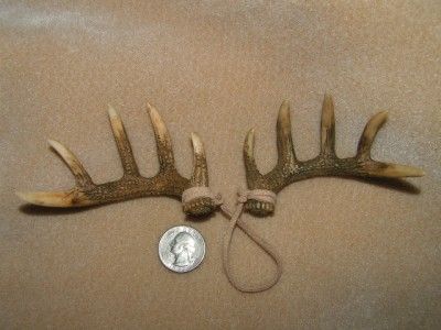 Miniature Set Whitetail Shed Antlers Antler Ornament