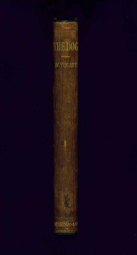  Dog Book 1886 The Dog by Youatt Veterinary Interest Diseases Dogs