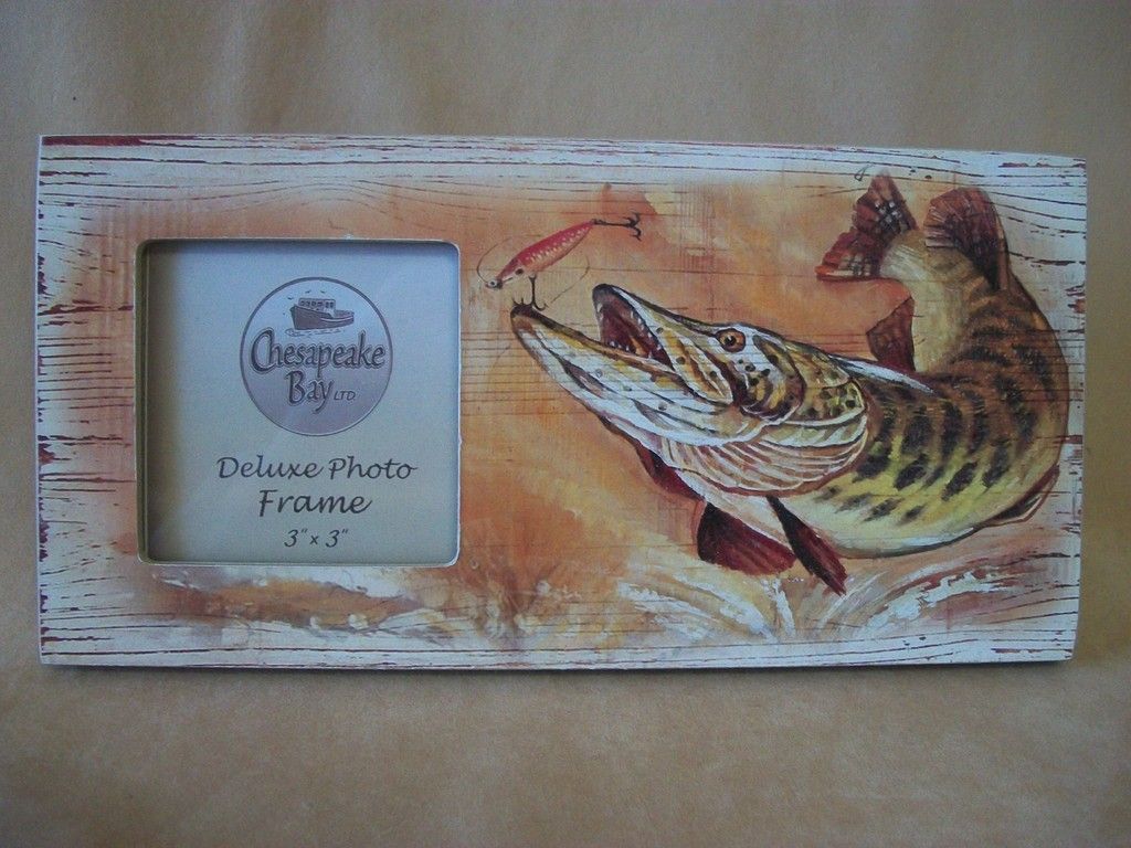 Chesapeake Bay Ltd Self Standing Fish Hook Photo Frame For 3 X 3 Photo