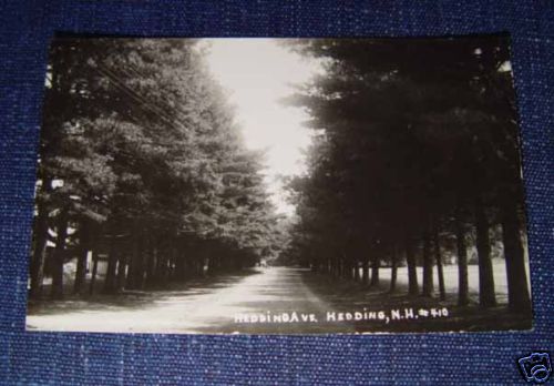 HEDDING AVE HEDDING NH Photo Postcard EPPING