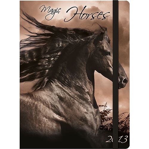 Magic Horses 2013 Hardcover Engagement Calendar