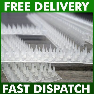 Wall and Fence Clear Spikes 5 Metres Protection From Birds or