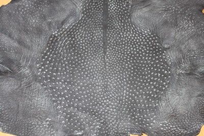 Genuine Exotic Ostrich Skin Black Suede 17SQFT 1 Grade