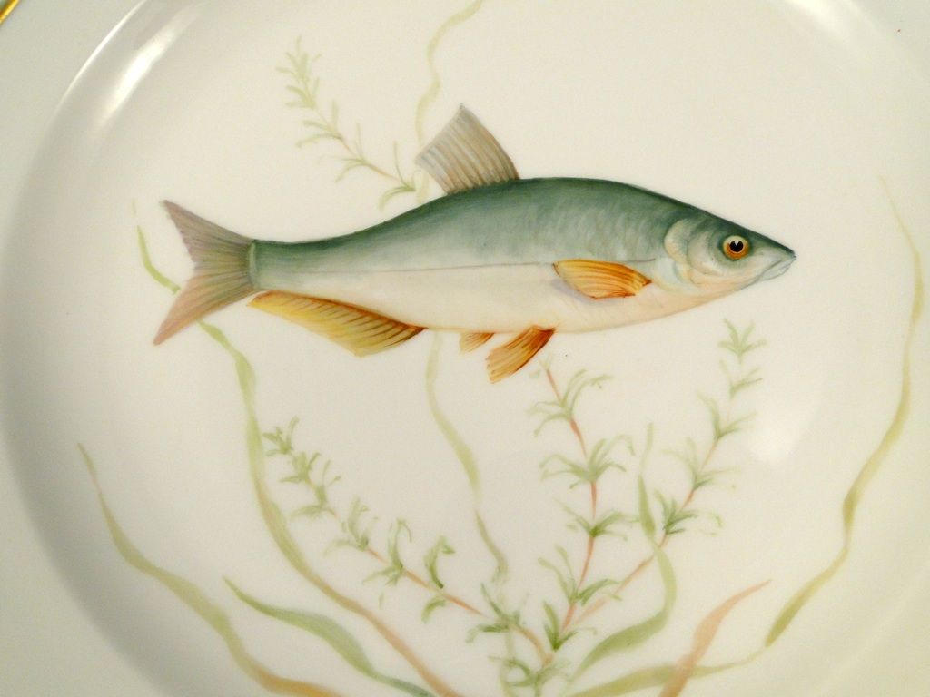 Flora Danica Royal Copenhagen China Plate Early 20th C Green Fish