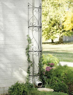 Circular Outdoor Garden Trellis Circular Trellis