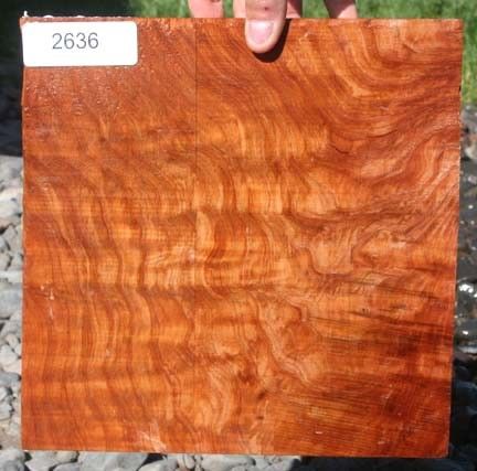 CURLY FIGURED REDWOOD 10 x 10 x 2 3/16 ~ EXOTIC WOOD LUMBER TURNING