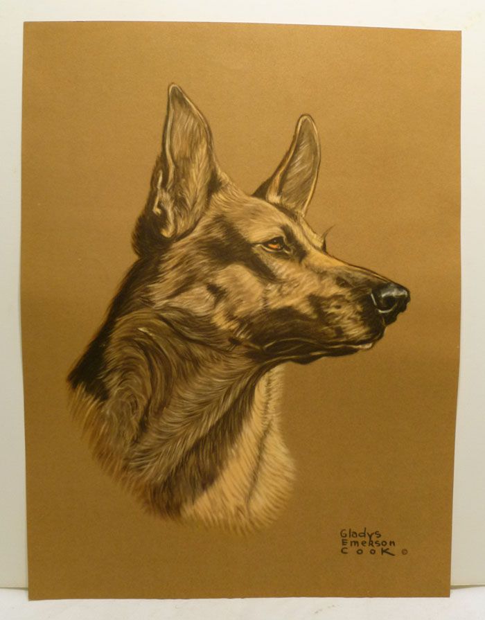 1940s Gladys Emerson Cook Dog 16x12 Print Mint German Shepard