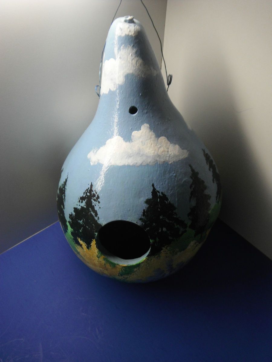 Handpainted Gourd Birdhouse