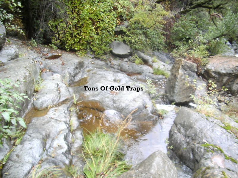  GOLD PANNING CONCENTRATES FIND GOLD NUGGETS, FLAKES, FINE GOLD, MORE