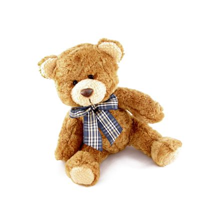 Teddy Bear Color Hidden Camera BC1095 Surveillance Nanny Camera