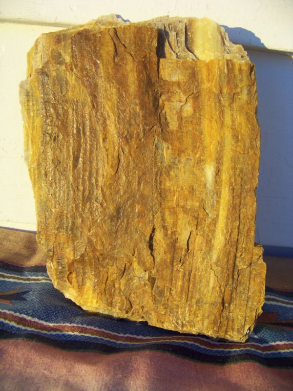 PETRIFIED WOOD AQUARIUM ROCK DECORATIVE 723 2 LBS