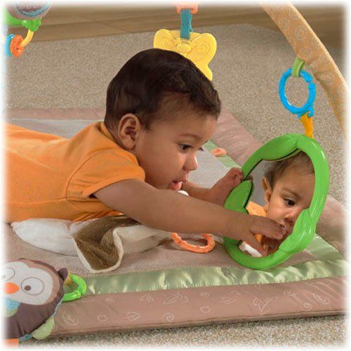  Price My Little Snugabunny Deluxe Kids Musical Mobile Gym X2916