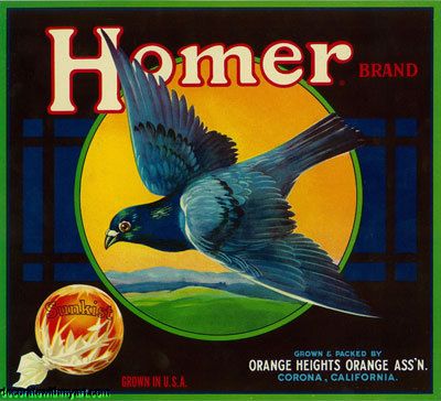 1930s Homer Brand Pigeon in Sky Image Sunkist Orange Crate Label