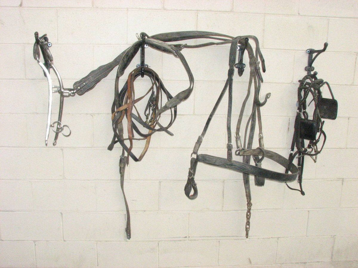 Horse Buggy Harness with Lines Bridle