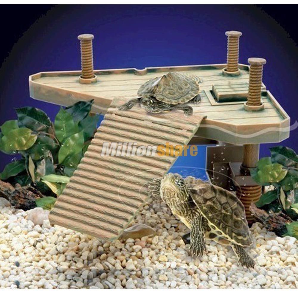  gadget for your little pet this reptology turtle pier pet supply can