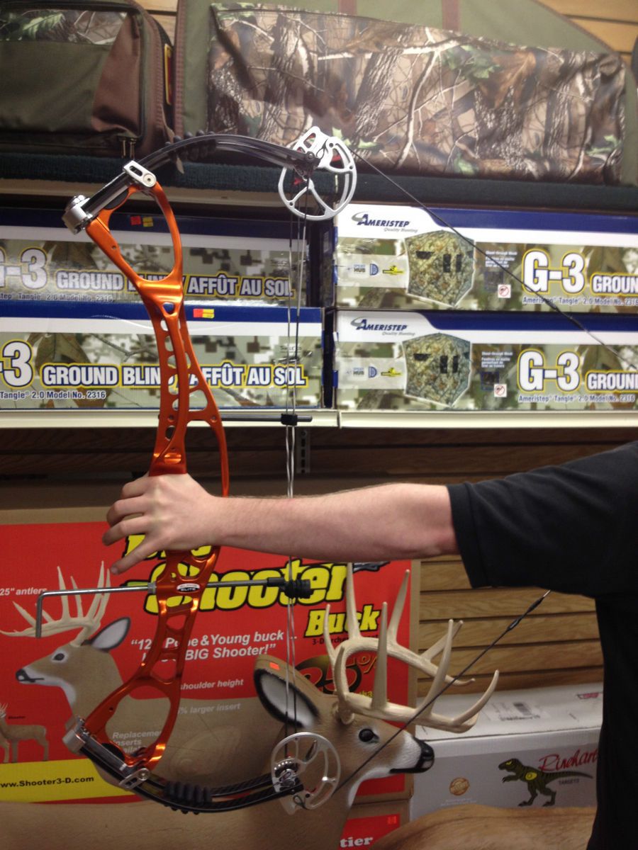 Hoyt Alphaelite Target Bow