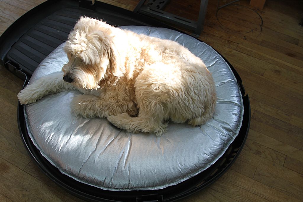  Winter Mat for Extended Style Igloo Dog Houses Size Large