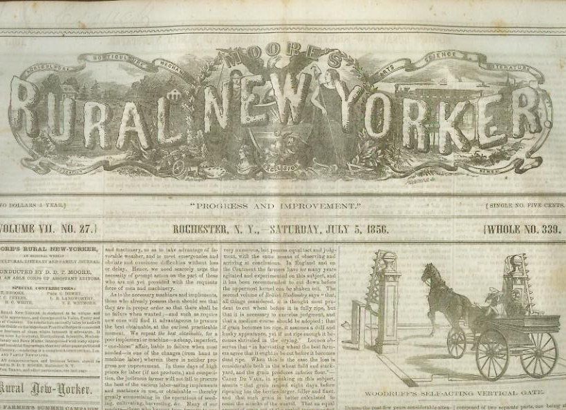  California Vigilance Lynchings Indianola Texas Camels 1856