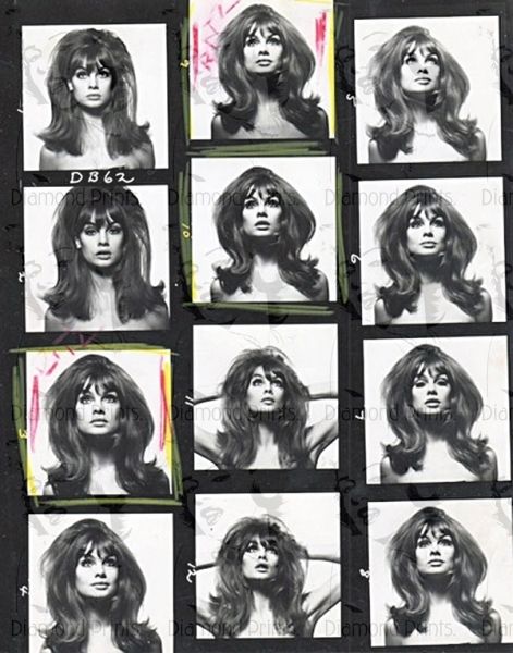 Cool RARE Jean Shrimpton David Bailey Photo Picture