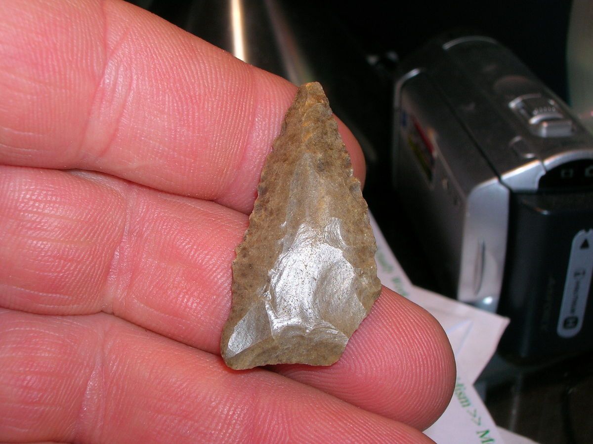 Really Nice Oklahoma Keithville Sanpatrice Arrowhead