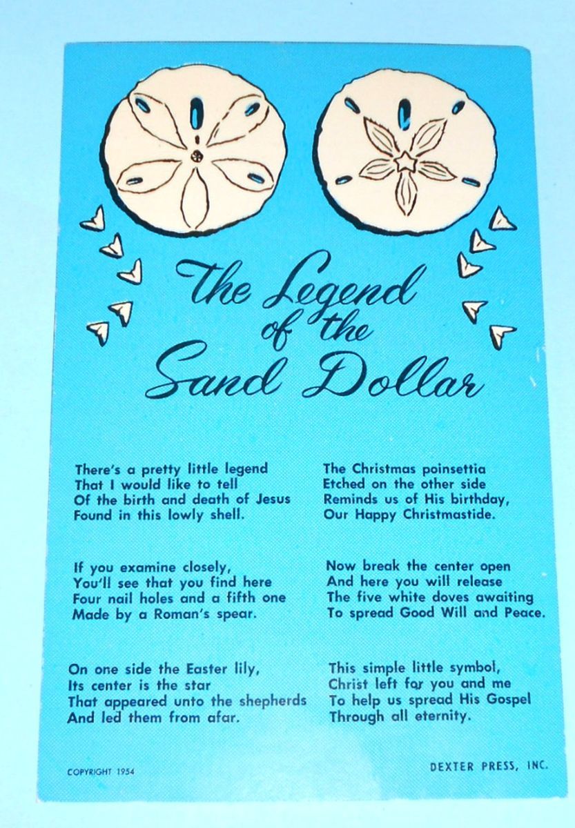Legend of The Sand Dollar Postcard Shell Symbols Religious Meanings C