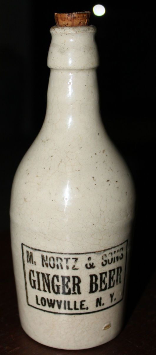 Nortz & Sons Ginger Beer Stoneware Bottle Lowville NY Mint Original