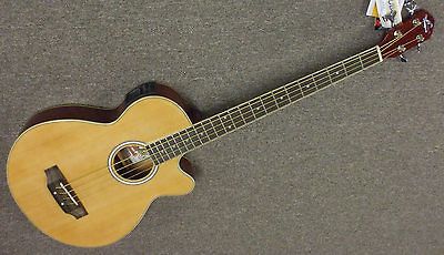 New Washburn thinbody Acoustic Electric Bass guitar w gig bag