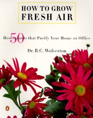 How to Grow Fresh Air 50 House Plants that Purify Your Home or Office