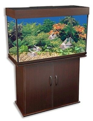 Delta Queen I 29 Gallon Rectangular Aquarium