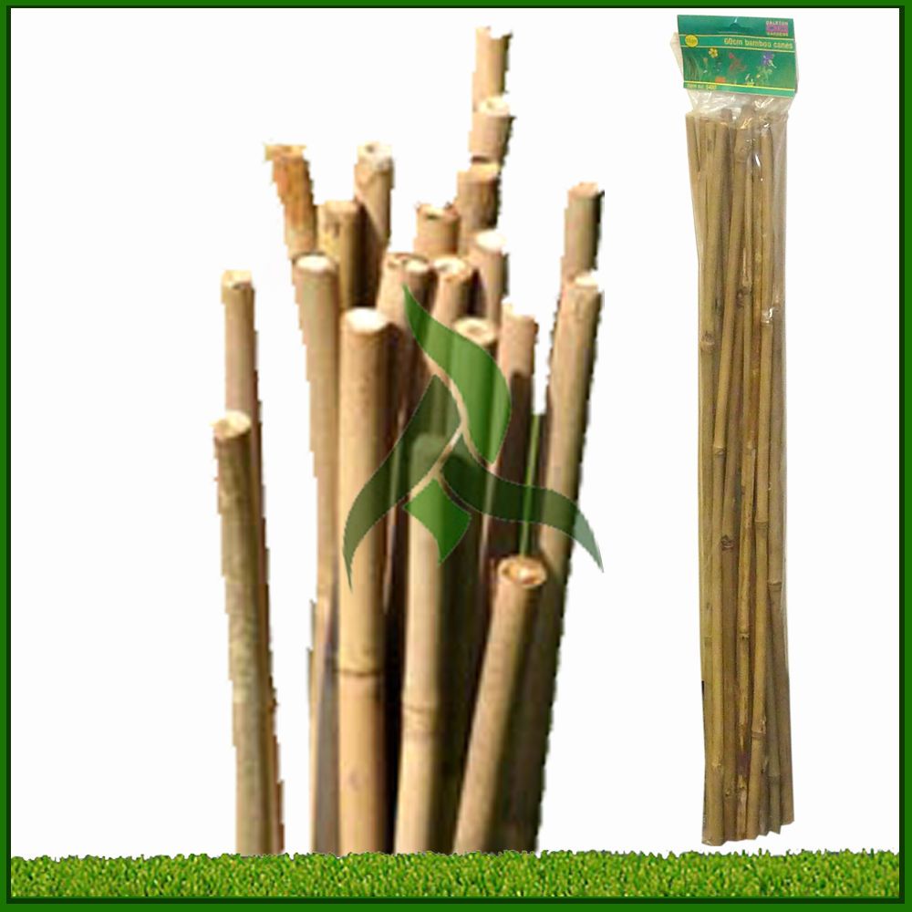 BAMBOO CANES POLE GOOD QUALITY HEAVY DUTY GARDEN STRONG CLIMBING PLANT