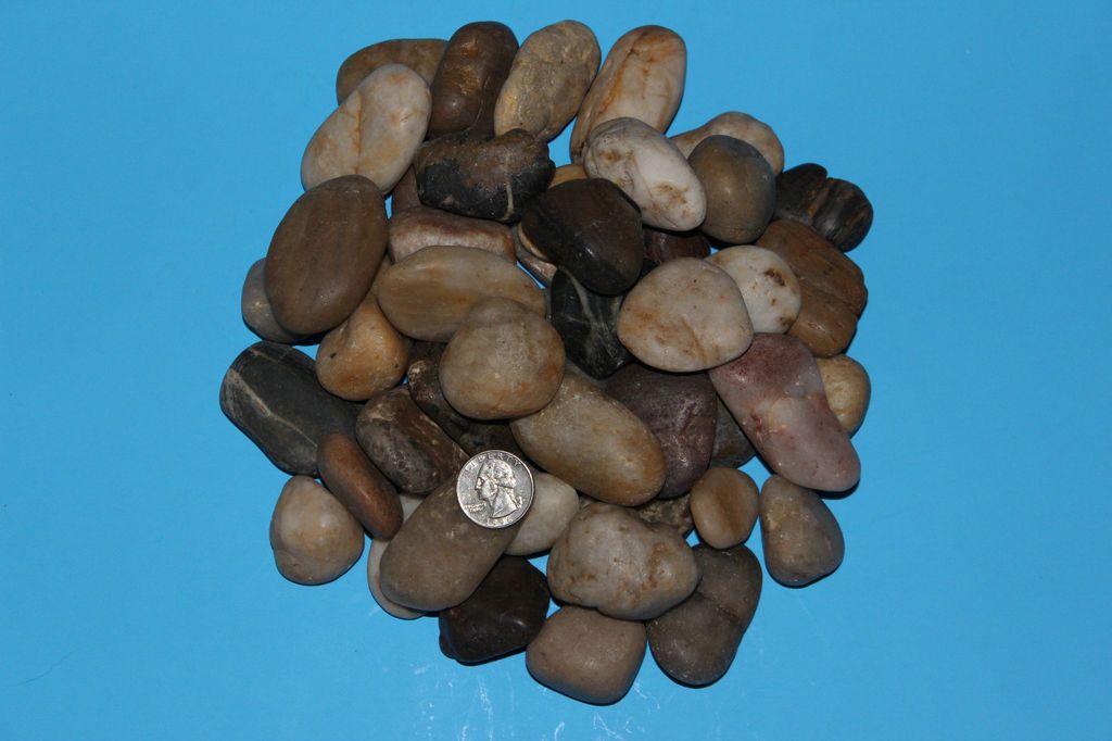 MIXED COLOR Polished Natural Rock pebble garden river SMALL LARGE