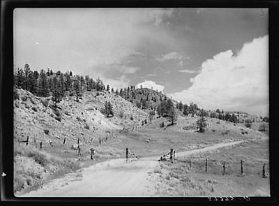 Photo Cattle guard on rural road. Big Horn County,Montana