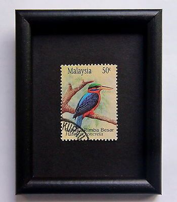 7463   Framed Postage Stamp   Pekaka Rimba Besar   Gift with birds