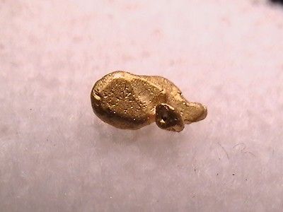 Gold Crystal Nugget Venezuela  South America