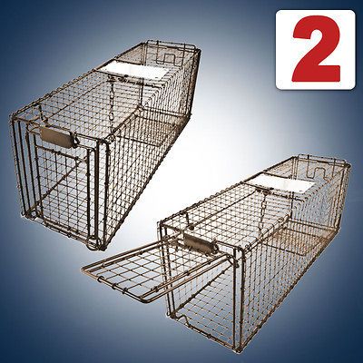 Animal Trap Skunk Racoon Cat 36x12x12 Cage trap Rabbit Pet Humane