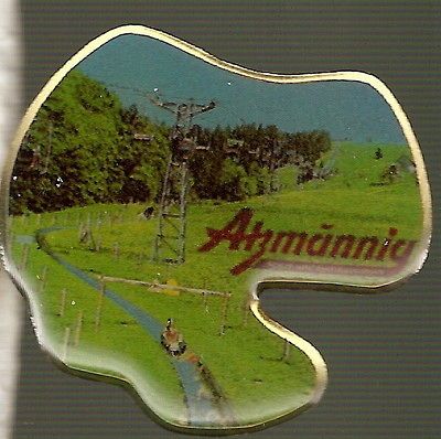 Alzmannig   Swiss Hat Lapel Pin HP1960