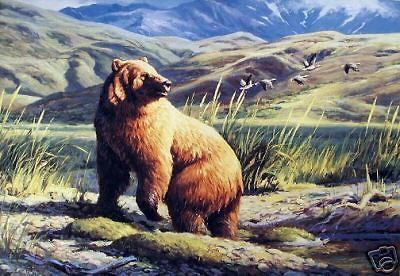 Leon Parson   BROWN BEAR   This Land is Mine   SN Print