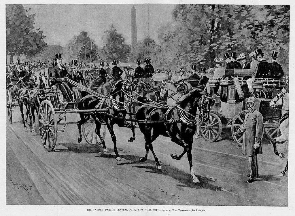 HORSES TANDEM PARADE COACHES CENTRAL PARK NEW YORK CITY