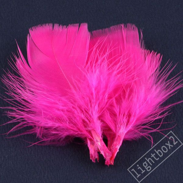 Triangle DIY Assorted Color 100pc Natural Ostrich Feathers Pick