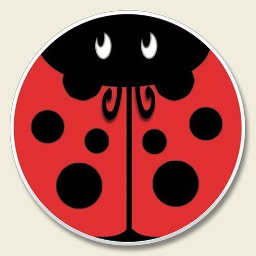 LADYBUGS 2CT CAR COASTERS