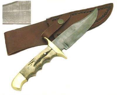 Damascus Steel Hunting Knife w/ Leather Case