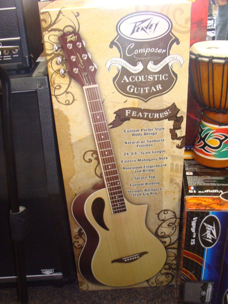 peavey acoustic electric guitar