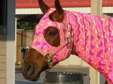 Custom made embroidered horse stretch hood/ sleazy Comes with tailbag