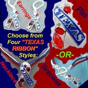 texas brooch pin