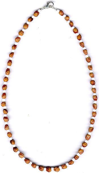 Mens Womens Ghost Bead Cedar Bead Necklace 61 Native American Jewelry